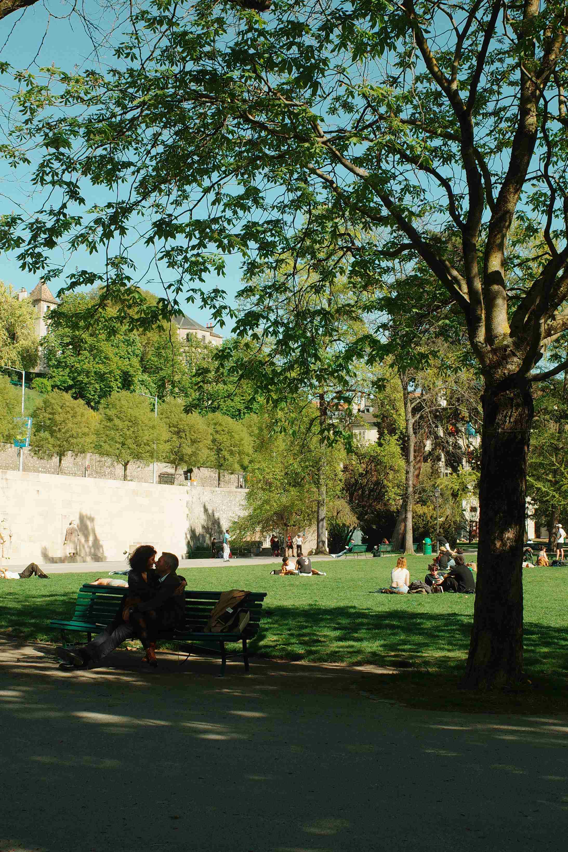 Couple kissing on a park bench