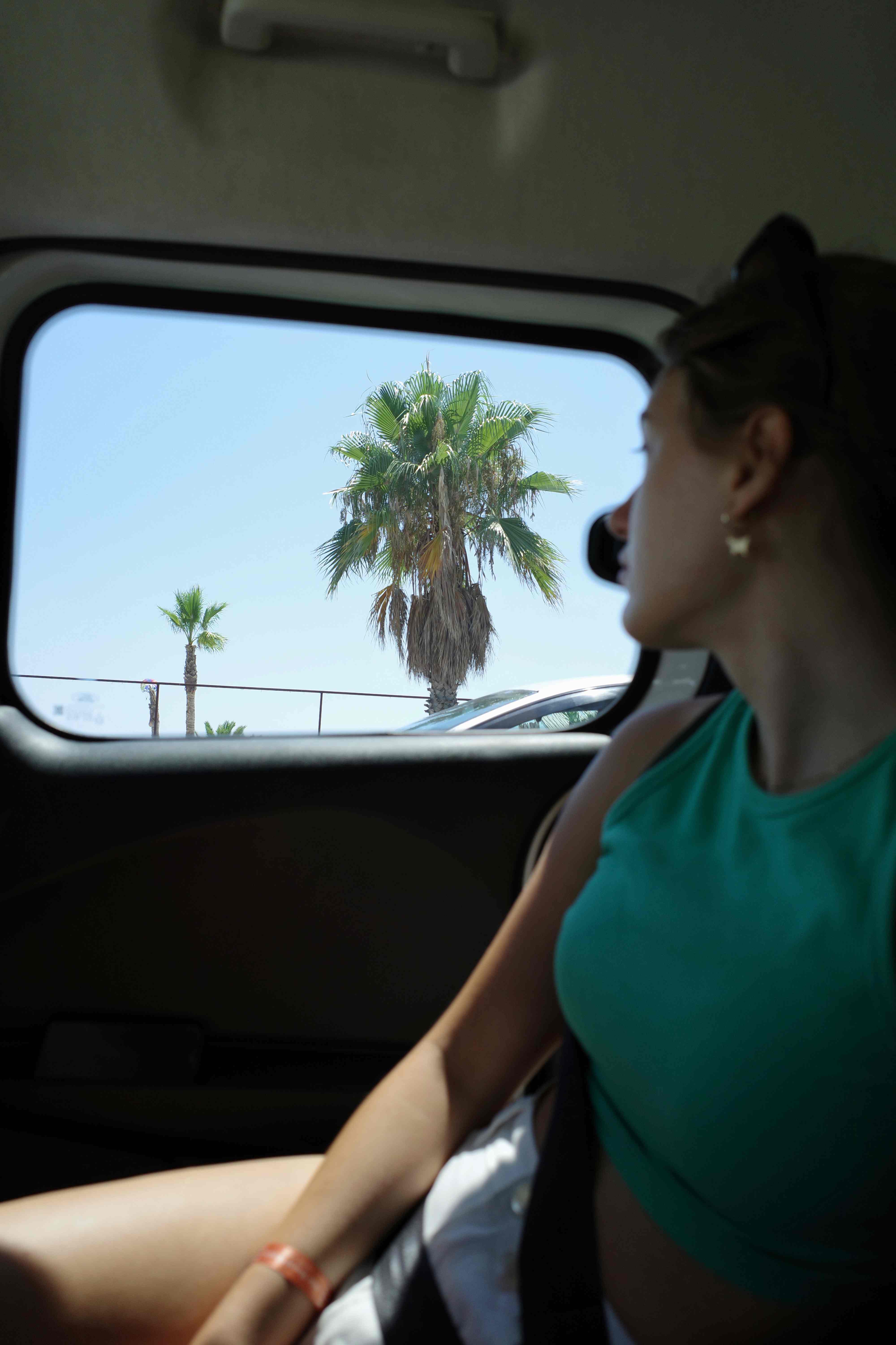 Passenger gazing at palm trees through a car window